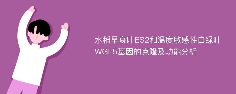水稻早衰叶ES2和温度敏感性白绿叶WGL5基因的克隆及功能分析